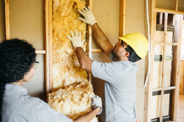 Best Insulation Removal  in Baldwin, FL